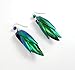Real natural beetle bug insect iridescent blue green wings earrings with green pendant