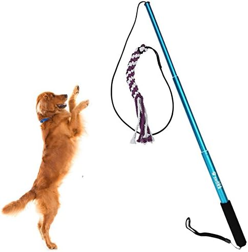 Sanzang Outdoor Play Interactive Dog Toys Funny Chasing, Teaser and Exerciser, Extendable Wand Pole for Pets (S, Blue)