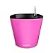 Window Garden Aquaphoric Self Watering Planter (7”) + Fiber Soil = Foolproof Indoor Garden. Decorative Planter Pot for House Plants, Flowers, Herbs, Violets, Succulents. Easy Looks Great.