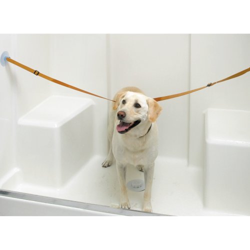 Rinse Ace Pet Bathing Tether Straps, 2 Pack