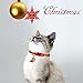 BINGPET Christmas Cat Collar Breakaway with Bell and Charm, Safety Adjustable Kitten Collars 2 Pack