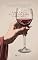 Livro Uma Taça de Vinho Para Cada Mês