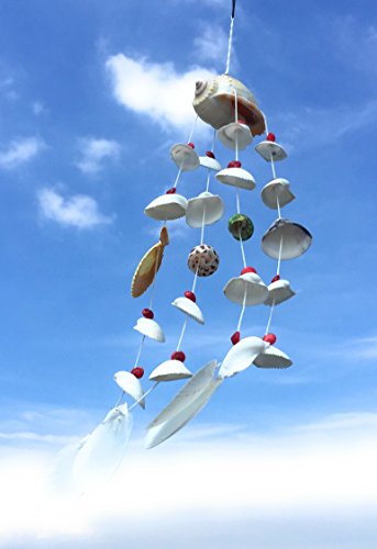 WD-Beautiful Seashell Wind chime Nautical Hanging - Noly shell top for room door window 19 inch