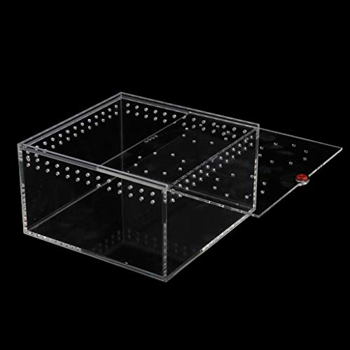 image for B Blesiya Holes Design Reptiles Amphibians Habitat Terrarium Vivarium 