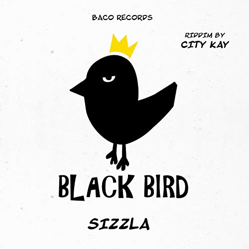 Sizzla - Think Wise