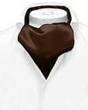 Vesuvio Napoli ASCOT Solid CHOCOLATE BROWN Color Cravat Men's Neck Tie