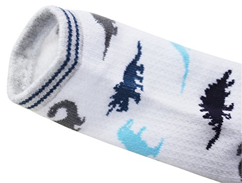 CHUNG Boys 5 Pack Cotton Low Cut Socks Star Dinosaur Stripe Print 2-9Y,PersonalDino5P,2-4Y