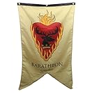Calhoun Game of Thrones House Sigil Wall Banner (30" by 50") (House Stannis Baratheon)