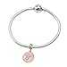 Rose Gold Zodiac Sign Charms 925 Sterling Silver Constellation Dangle Charm for European Bracelet (Aries)