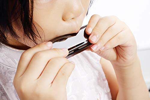 2 Harmonica+Diatonic+Beginners+Professional+Polishing