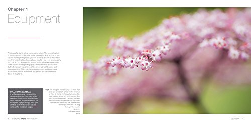 Mastering Macro Photography - Thumbnail 2