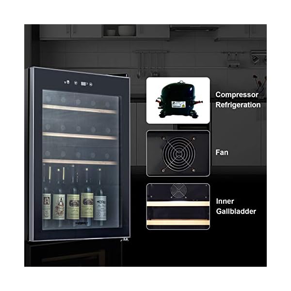 KUPPET-Compressor-36-Bottle-Wine-Cooler-Counter-Top-Wine-CellarChiller-Wine-Refrigerator-Single-Zone-with-Touch-Control-Quiet-Operation-Fridge-Wooden-shelf