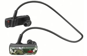 Sony Walkman NWZ W252