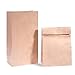 GSSUSA Brown Paper Bags - 6