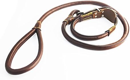 Genuine Leather Rolled Dog Leash with Collar Suitable for Small and Medium-Sized Dog by SPAZI