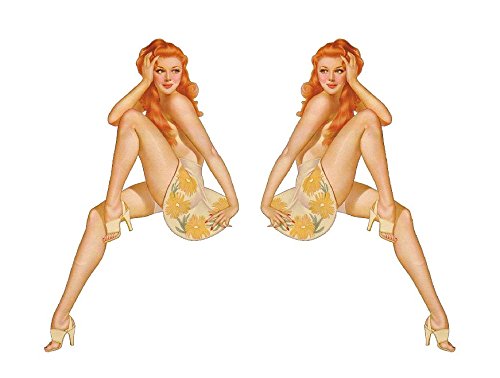Set of 2 Remote Control (RC13) Pin Up Girl RC Airplane Sticker Decal