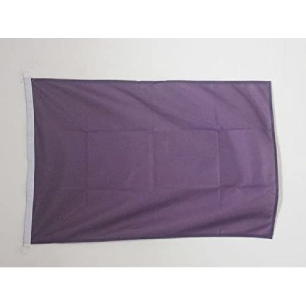 AZ FLAG - Plain Purple Flag - 2x3 Ft - For Outdoor - Purple Solid color Banner Knitted Polyester with Two Plastic Rings - Fade Resistant - Vivid Colors - 2' x 3' Feet - 90x60 Cm