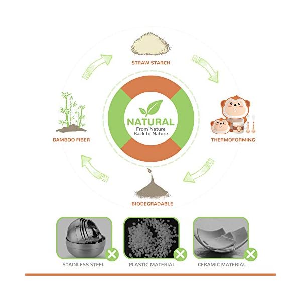 H-HOMEWINS-5-Piece-Kids-Dinner-Set-Eco-Friendly-Bamboo-Tableware-Includes-Plate-Bowl-Cup-Fork-Spoon-Dishwasher-Safe-Dinnerware-for-Baby-Children-Monkey H HOMEWINS 5-Piece Kids Dinner Set Eco-Friendly Bamboo Tableware Includes Plate Bowl Cup Fork Spoon Dishwasher Safe Dinnerware for Baby Children (Monkey)