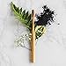 The Dirt Charcoal Infused Bamboo Toothbrush - Biodegradable Natural Toothbrush with Soft Bristles - Eco-Friendly Oral Care Must-Have for a Brighter Smile (Single Pack)