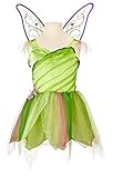 Disney Fairies Tinker Bell Floral Party Dress