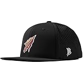 Branded Bills Officially Licensed x Florida State Seminoles Flat Performance FSU Spear Tip