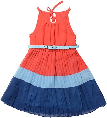 Toddler Girls Printed &amp; Pleated Chiffon Dresses (4T, Red &amp; Blue)