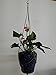 3 Legs Macrame Nylon Rope Plant Holders ,Coffe Color, 29-inches and 10 Inchies Tail Tassel Without the Glass Port and Flower