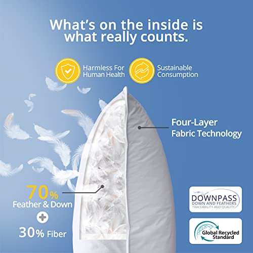 WarmKiss Down Pillow King Size Set of 2, Feather Pillows for Sleeping, Soft & Supportive, Four