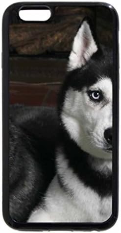 iPhone 6S Plus Case, iPhone 6 Plus Case, Siberian Huskies