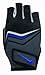 Nike Men's Core Lock Training Gloves (Flint Grey/Black/Game Royal, Medium)