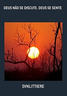 Livro Deus NÃo Se Discute. Deus Se Sente