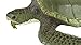Safari Ltd Incredible Creatures Kemp's Ridley Sea Turtle