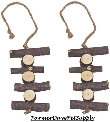 Organic Apple Chew Toy for Small Animals - Dual Pack