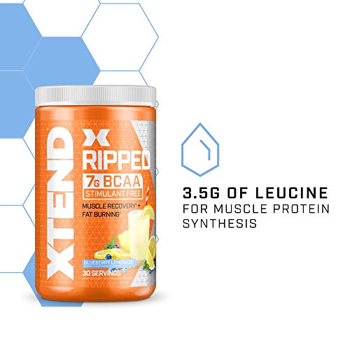 XTEND Ripped BCAA Powder Blueberry Lemonade Cutting Formula + Sugar