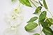 5pack Flower Garland Artificial Wisteria Garland Vines Faux Wisteria Vine Fake Hanging Flowers for Wedding Floral Decor-Total 33ft (White)