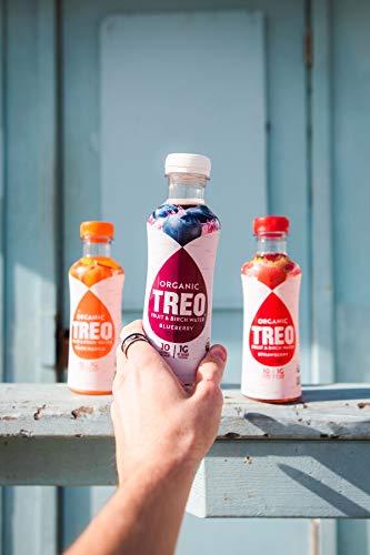 Treo Fruit & Birch Water Drink, Strawberry, USDA Organic, Non-GMO Project Verified, Vegan, Gluten-Free, 10 Calories & 1g of Sugar Per Serving, 16 fl oz, Pack of 12