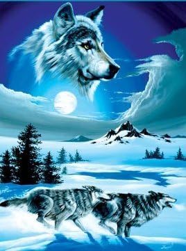 Royal Plush Extra Heavy Queen Size Mink Blanket - Wolf Moon (79" x 85")