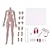 Flameer 1:6th Super-Flexible Female Stainless Steel Body with Hands Feet for Phicen Figure Doll Toy New Wheat Skin