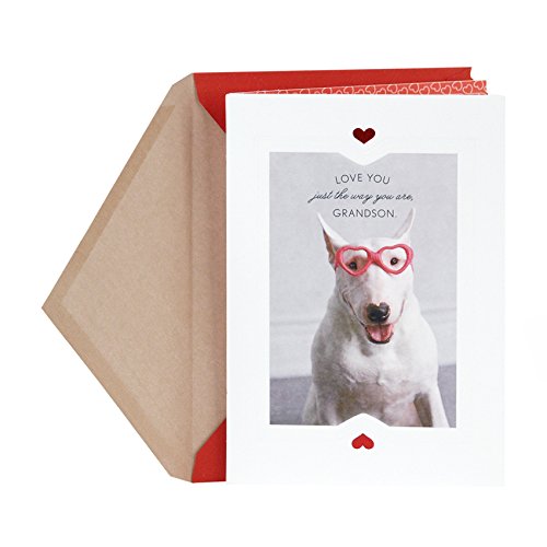 Hallmark Valentines Day Card For Grandson Dog With Glasses - 