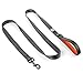 Embark Adventure Dog Leashes - Colorful, Strong Nylon Leashes for Small, Medium & Large Dogs, Heavy Duty Black Leash