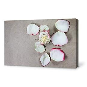 Canvas Wall Art for Living Room,Bedroom Home Artwork Paintings Orchid SPA Backgrounds Ready to Hang - 12x18 inches