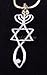 Messianic Seal Necklace Hebraic Roots Gold Grafted Comes In A Gift Pouch
