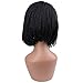 HAIR WAY Box Braided Wigs Bob Lace Front Wig for Black Women Glueless Short Bob Braided Lace Wig with Baby Hair for Daily Wear Half Hand Tied 12inches #1