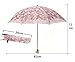 Honeystore Lace Travel Parasol Twice Folding Anti-uv Sunshade Windproof Umbrella