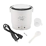 FAMKIT 12V 100W 1L Electric Portable
