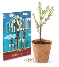 Tree Growing Kit - Giant Sequoia - by Jonsteen Company Tree Growing Kit - Giant Sequoia - by Jonsteen Company