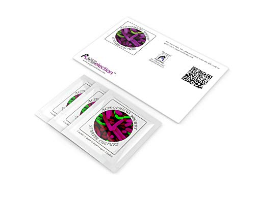 2 Yogurt+Starter+Cultures+Freeze+dried+Acidophilus