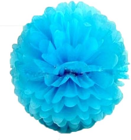 Funny Zakka - 6"-20" Pom Poms Tissue Paper Flowers For Celebrate Decoration (6" Sky Blue)- Fluffy Hanging Lantern Party/Wedding Blooms Ball in 15 colors (Pack of 4)