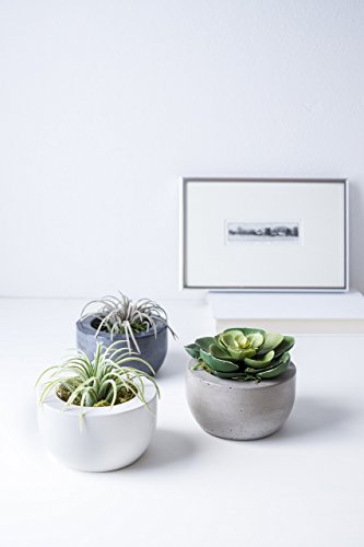 Port Living Company Concrete Planter Set