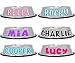 Personalized Dog Bowl –Customizable Pet Name 3D Print Design 32 Oz Stainless Steel Bowls With Anti-Skid Rubber Base for Food or Water Perfect Dish for Dog Puppy Cat and Kitten
